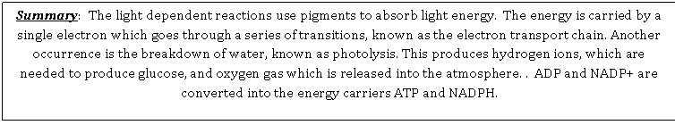 Text Box: Summary:  The light dependent reactions use pigments to absorb light energy.  The energy is carried by a single electron which goes through a series of transitions, known as the electron transport chain. Another occurrence is the breakdown of water, known as photolysis. This produces hydrogen ions, which are needed to produce glucose, and oxygen gas which is released into the atmosphere. .  ADP and NADP+ are converted into the energy carriers ATP and NADPH.