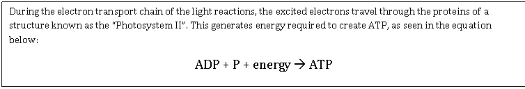 Text Box: During the electron transport chain of the light reactions, the excited electrons travel through the proteins of a structure known as the Photosystem II. This generates energy required to create ATP, as seen in the equation below: 
ADP + P + energy  ATP
