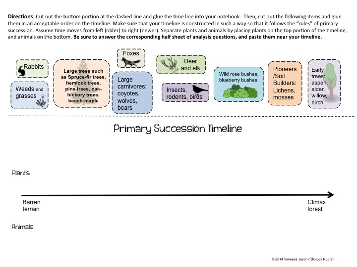 Primary Succession Timeline Cut and Paste