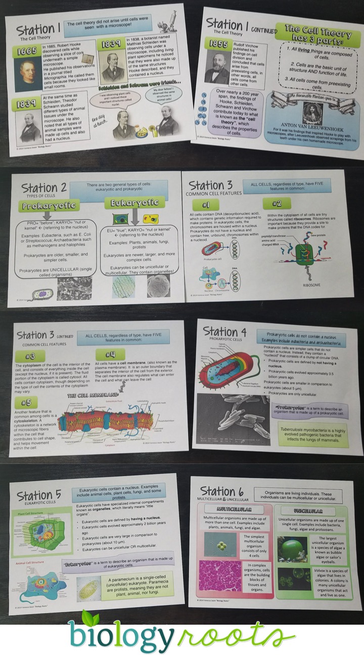 cells stations biology lessons