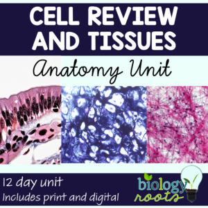 Cells and Tissues Anatomy Unit Bundle | Histology Lessons for High School