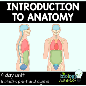 Intro to Anatomy Unit Bundle