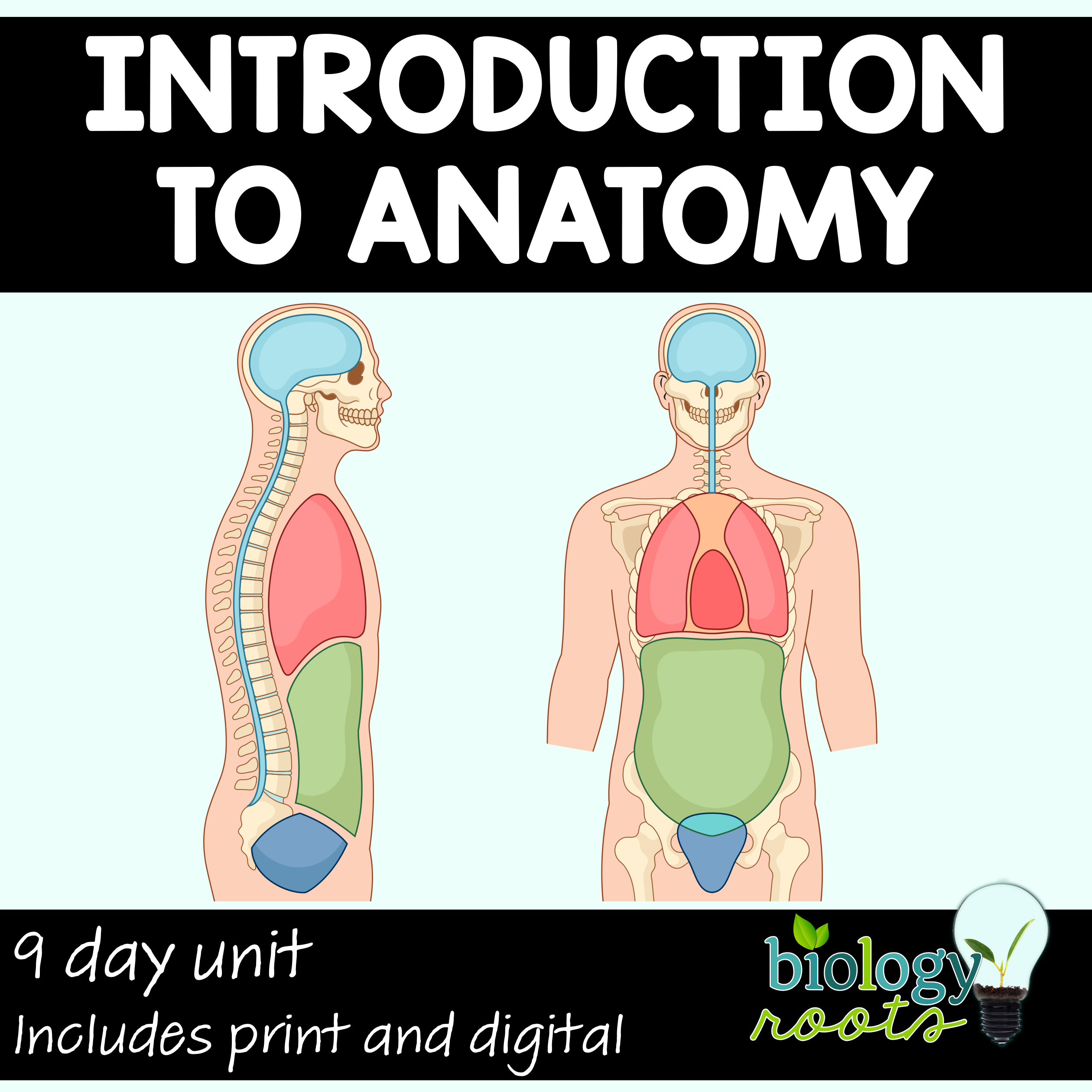 Intro to Anatomy Unit Bundle
