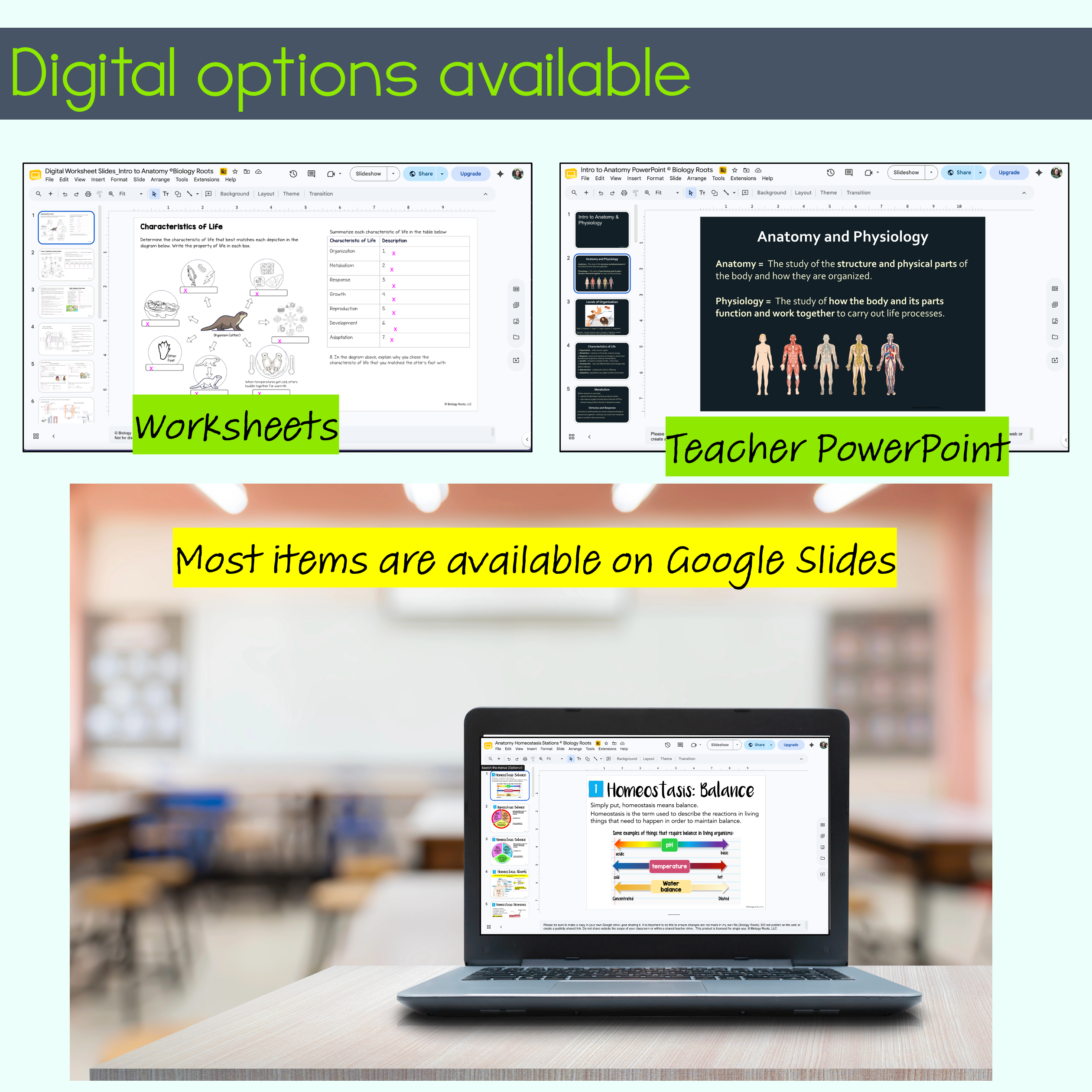 Intro to Anatomy Unit Bundle - Image 12