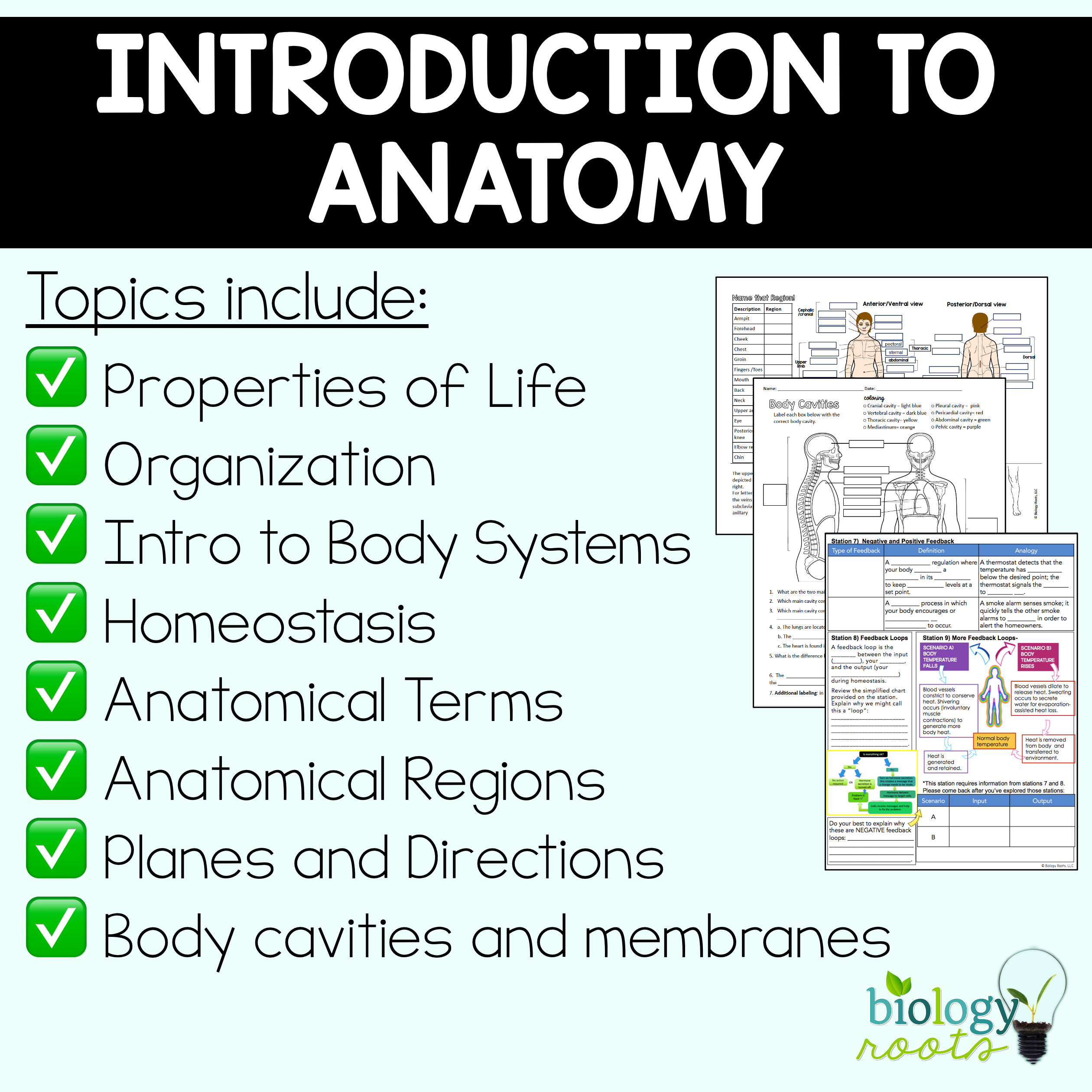 Intro to Anatomy Unit Bundle - Image 2