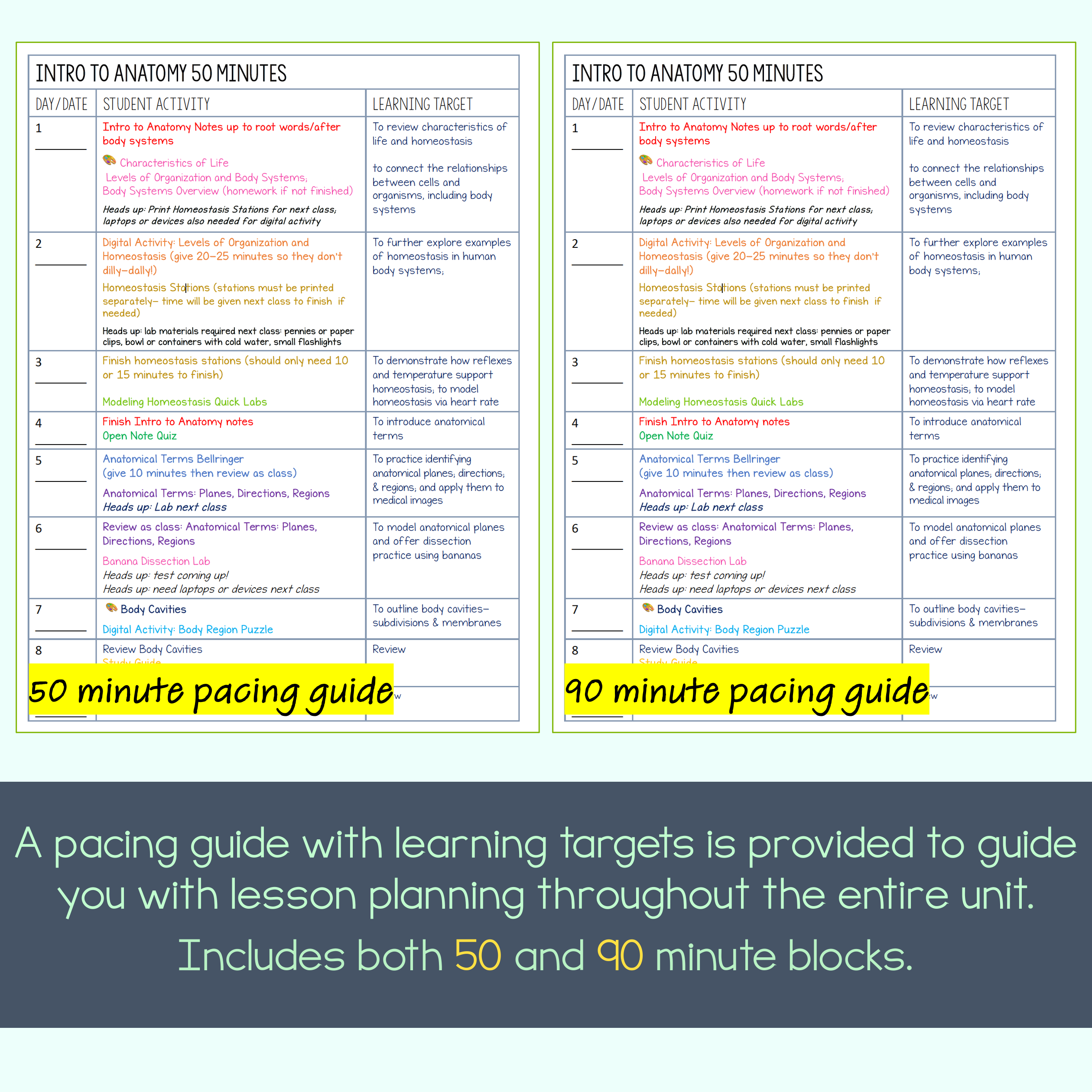 Intro to Anatomy Unit Bundle - Image 4