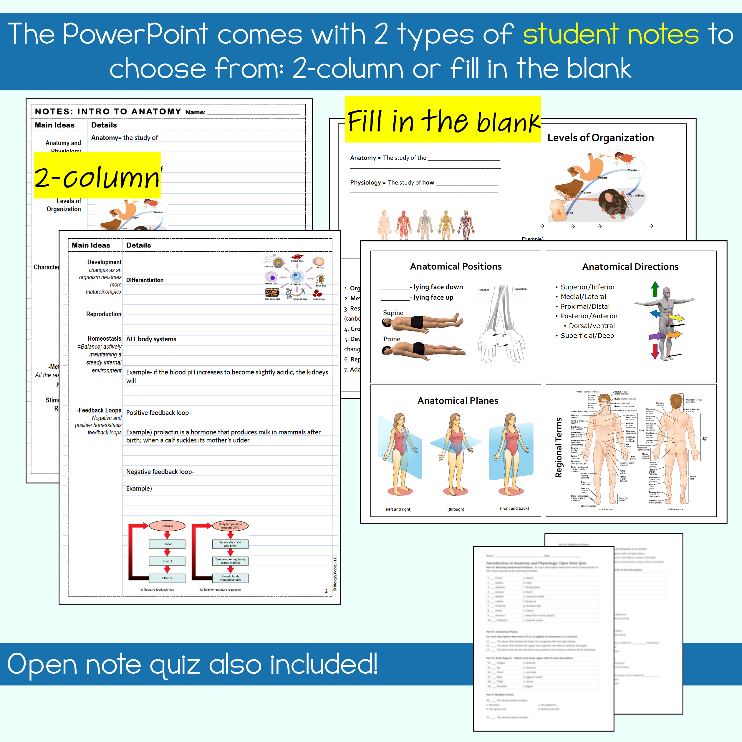 Intro to Anatomy Unit Bundle - Image 6