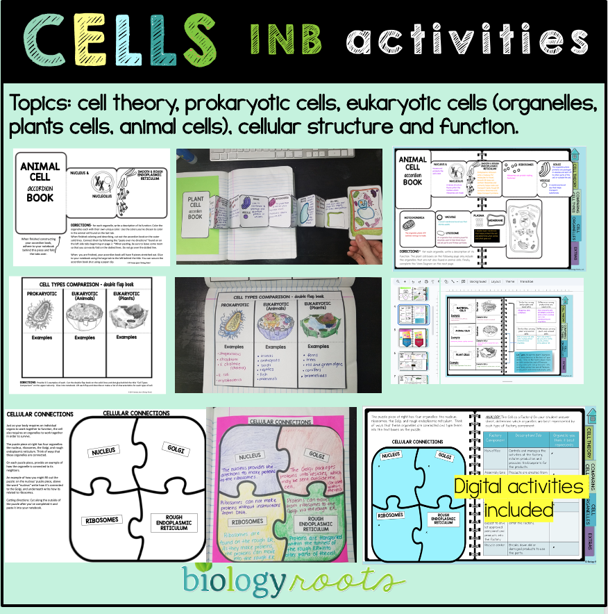 biology interactive notebook