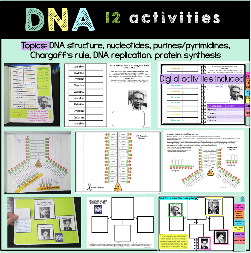 biology interactive noteboook