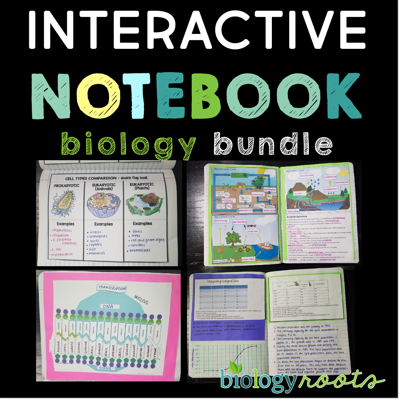 biology interactive notebook