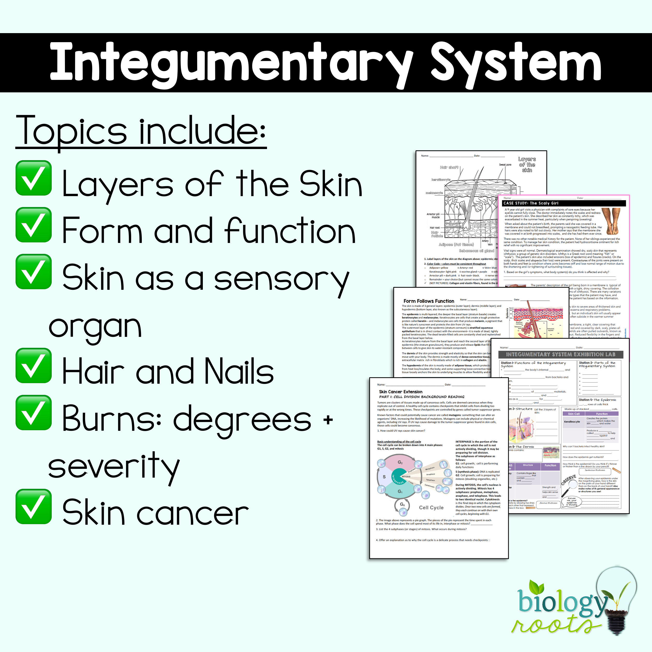 Integumentary System Unit Bundle - Image 2