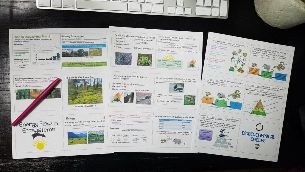 biology curriculum ecology