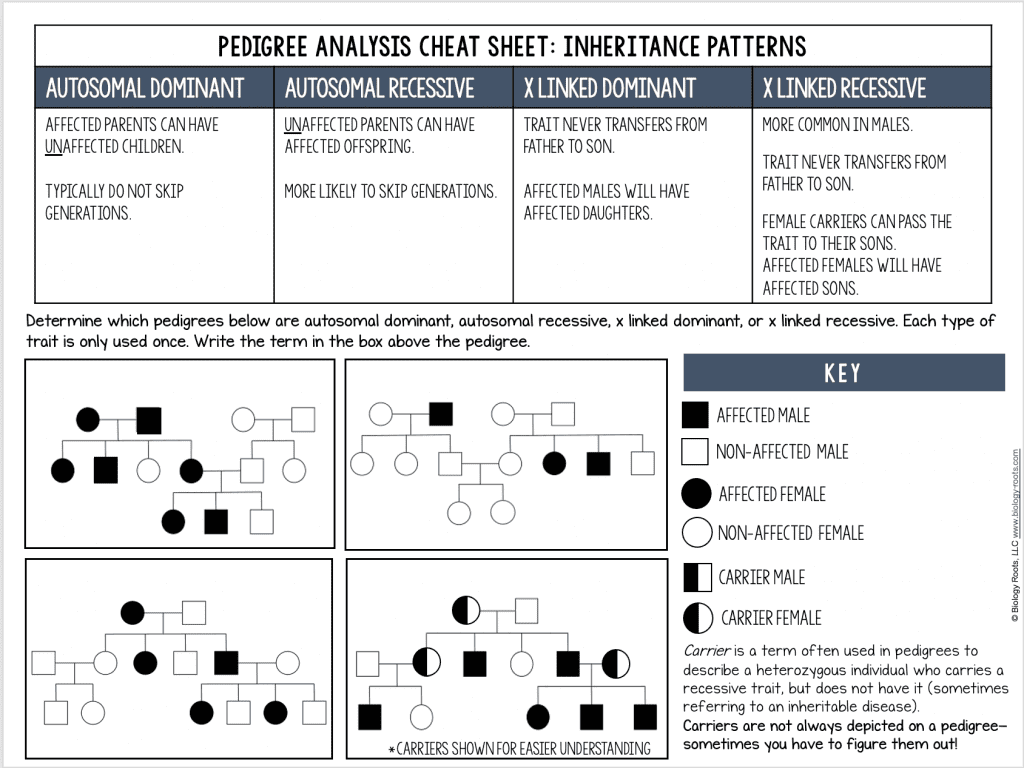 pedigree lessons pedigree tips teaching biology