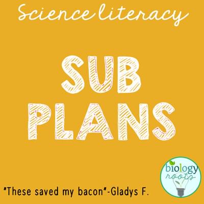 Substitute Lesson Plans