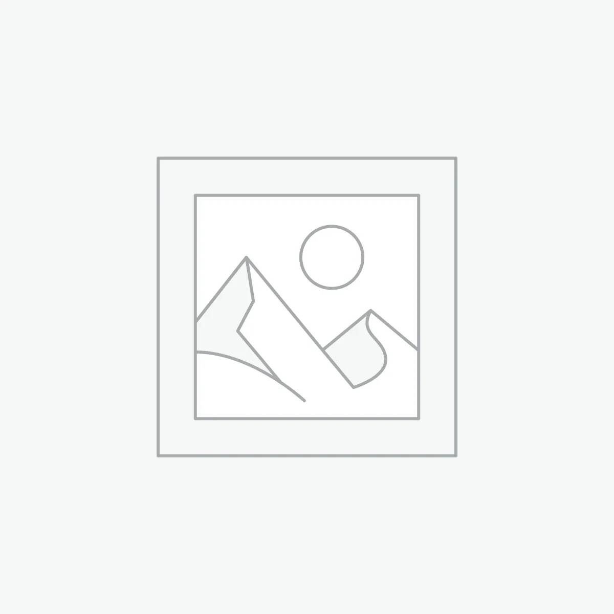 Interactive Notebook